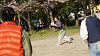 hana26 (313)_thumb.png